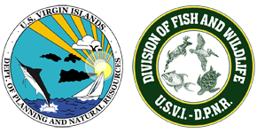 U.S. Virgin Islands Recreational Fishing Licenses and Information